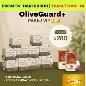 PAKEJ VIP (PAYDAY OFFER)