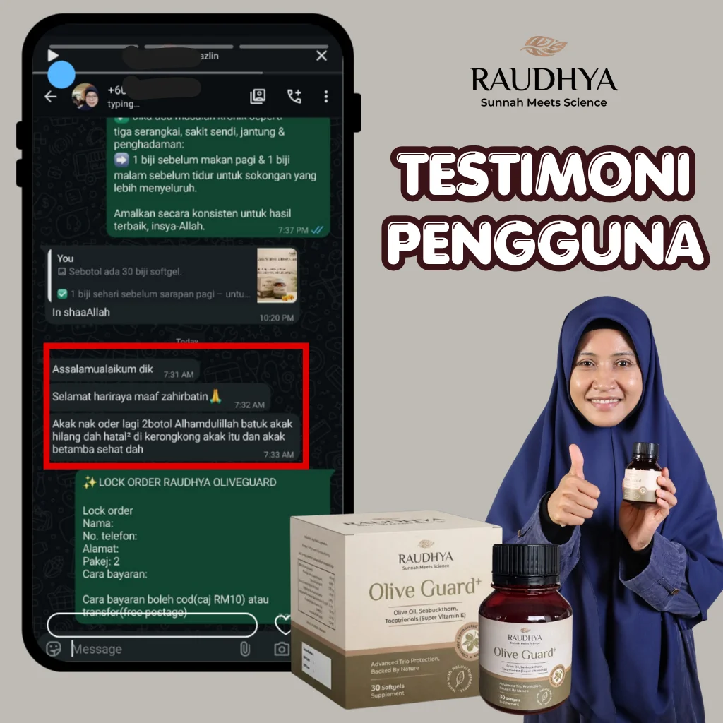 11.webp